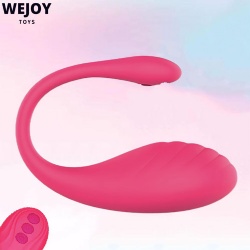 RC Swan Egg - Snug‌